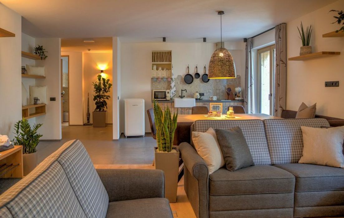 Soggiorno moderno con divani grigi, piante e cucina aperta illuminata da lampada a sospensione.