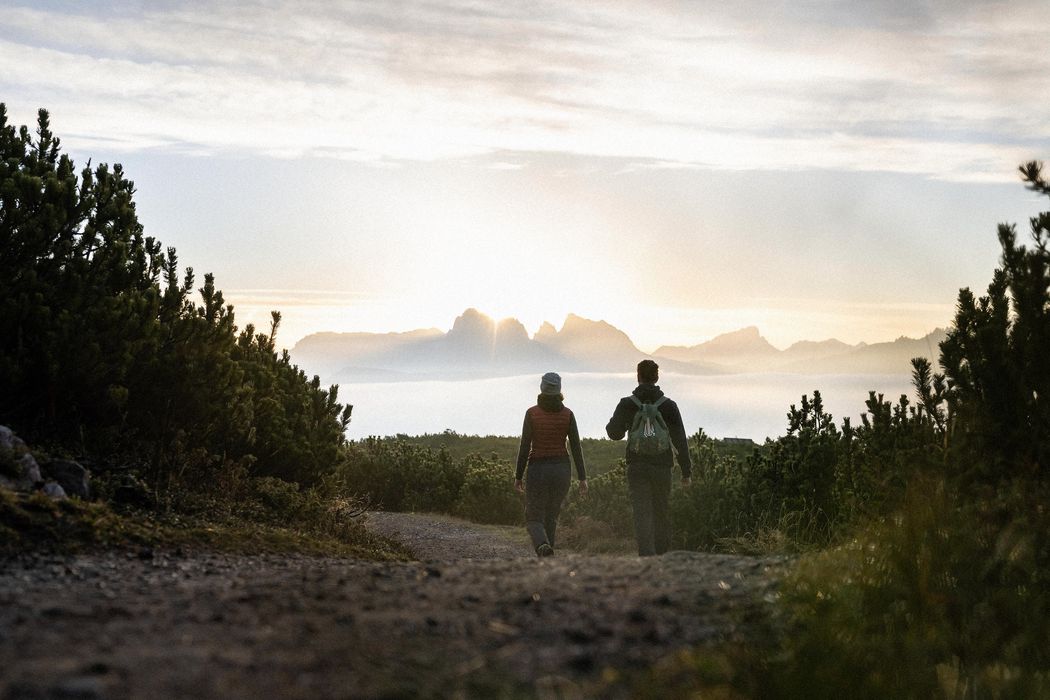 Due persone camminano su un sentiero verso il tramonto tra alberi di montagna.