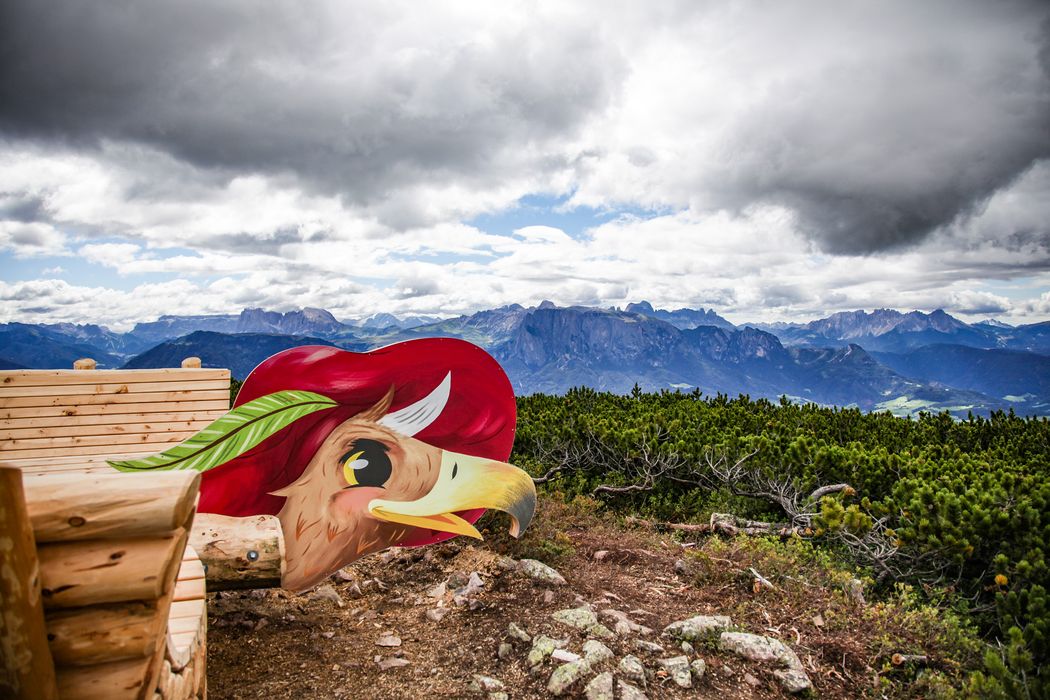 Panchina in legno con schienale decorato a testa di aquila rossa in un paesaggio montano sotto un cielo nuvoloso