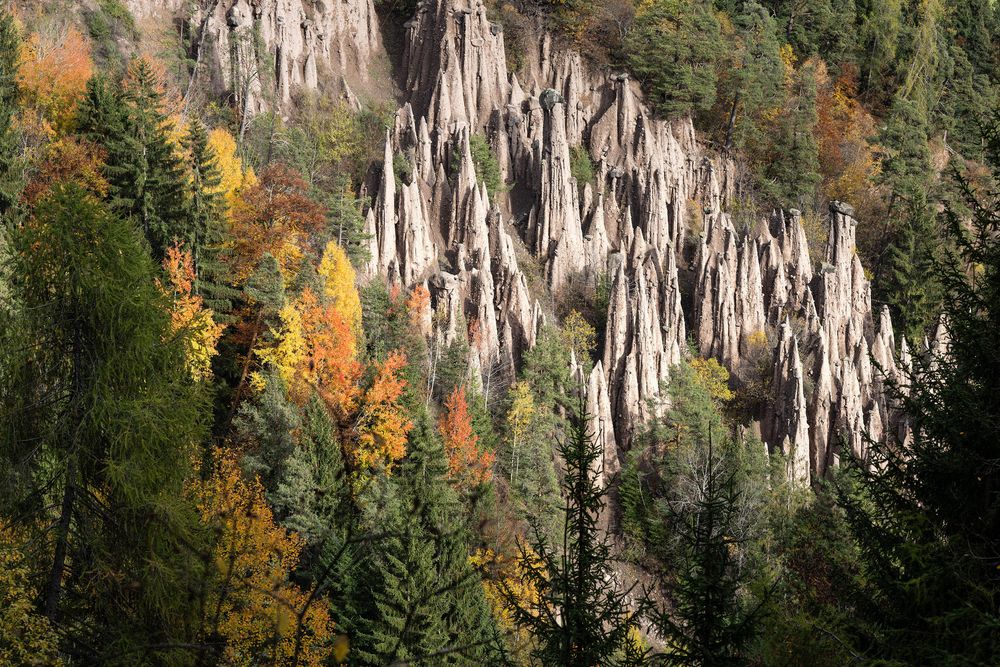 Felsformationen und bunte Herbstbäume im Wald