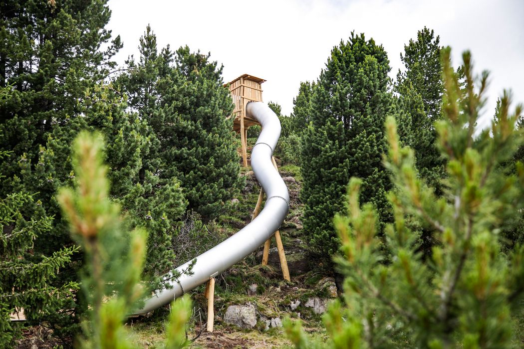 Scivolo metallico a spirale in una foresta di pini.